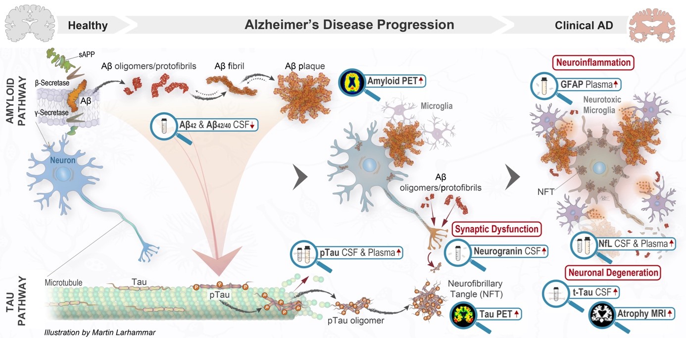 Biomarkører i klinisk praksis