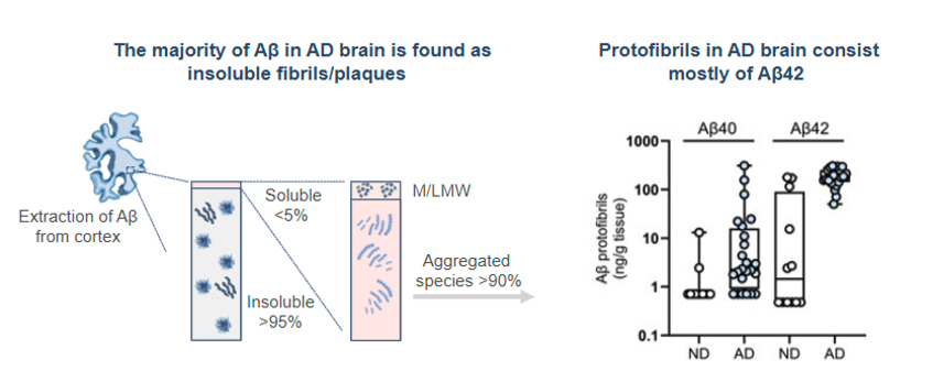 Olika Aβ-former i en hjärna med Alzheimers sjukdom